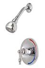 120139 Premier Wellington Single-handle Shower