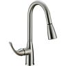 1558061 New Aquaplumb Sprayer Kitchen Faucet 730007601855
