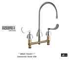 201-agn8ae3-317vp 200-agn8ae3-317 Chicago Faucets Double Handle