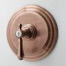 4-1034bp-24a Newport Brass Balanced Pressure Shower Trim Plate With 760724284024
