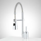 420976 Signature Hardware Osorio Kitchen Faucet With Pull Down Spring Spout