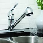 76990 Unbranded Kitchen Faucet Pull 0703774976990