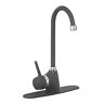 99878 The Renovators Supply Kitchen Faucet Gooseneck Black Chrome 096962409142
