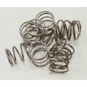 2563-008-001 Acorn Controls Orifice Plate Spring Pk10