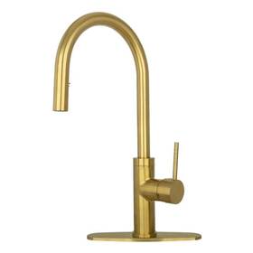 Ak96416-btg Akicon Single-handle Pull Down Sprayer Kitchen Faucet With Deckplate In Brushed