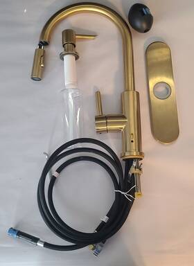 5505668 Allen Roth Harlow Kitchen Faucet Includes Soap Pump