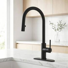 Atking 734383832032 1-handle Kitchen Faucet Pull Out Sprayer Stainless Steel Matte Black