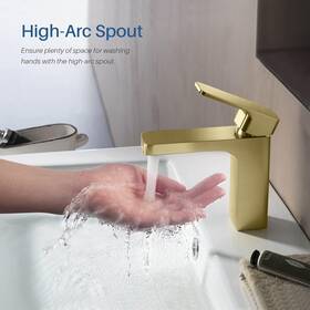 F118 Blossom 842708126510 Modern Single Handle Bathroom Sink Faucet With Pop-up Drain Stainless Steel