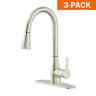 Classic-bn-3 Flow Standard Kitchen Faucet Brushed Nickel 850018018425