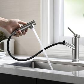40230 Crea Kitchen Sink Faucet Chrome Pull Out Sprayer Farmhouse Bar Faucets M