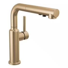 Delta 313057988963 Daneri Gold Single Handle Pull Out Sprayer Kitchen Faucet Deckplate Included In