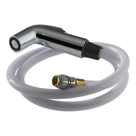 Rp39345 Delta Chrome Spray And Hose Assembly