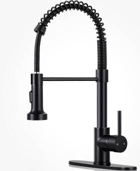 Djs 738632491827 Kitchen Faucets With Pull Down Sprayer Matte Black - Dual
