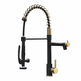 100550bg Fapully Black&gold Kitchen Faucet With Sprayer Commercial Tall