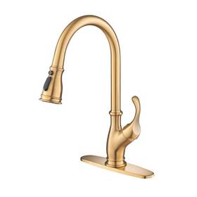 Cc-0121-bg Flg Single Handle Pull Down Sprayer Kitchen Faucet With Brush Included And Handles