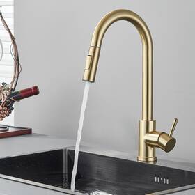 Forious 797334202285 Brushed Gold Faucet Sink Mixer Kitchen Pull Down Sprayer Single Handle