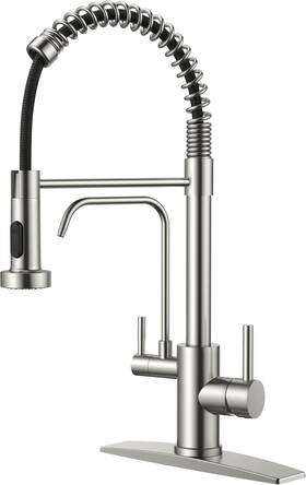 Ff0024bn-djs Forious 2 In 1 Kitchen Faucet With Drinking Water Filter Brushed