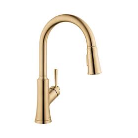 Hansgrohe 4793140 Joleena Kitchen Faucet Brushed Bronze