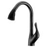 Kf-az031orb Anzzi Accent Series Sprayer Kitchen Faucet In Oil 848308074183