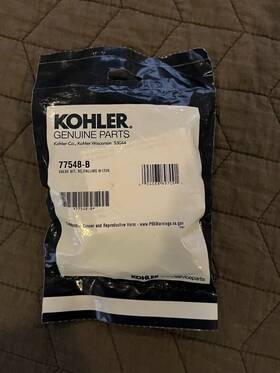 77548-b Kohler Falling Water Wallmount Faucet Repair Kit New Bonnet And Cartridge