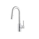 Lg572-sac Pfister Stellen Bar Faucet With Sprayer In Chr 038877621592