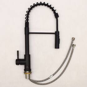 2021090598 Lippert Flow Max Coiled Kitchen Faucet Black Stainless