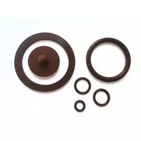 Longray 744759616517 Viton Gasket Kit For Stainless Steel Sprayer
