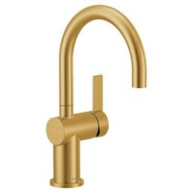 5622bg Moen - Bar Faucet