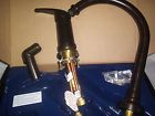 P32102s Silver Oak Kitchen Faucet