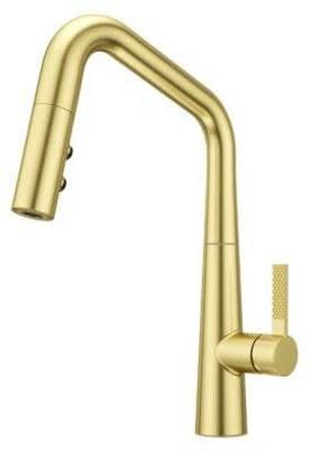 Gt529-asrbg Pfister 038877665008 Kitchen-sink-faucets Brushed Gold
