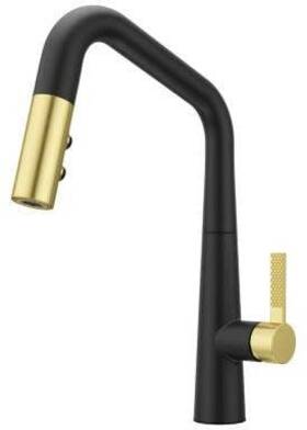 Gt529-asrbbg Pfister 038877665015 Kitchen Faucets And Accessories Combo-matte Black Brushed Gold