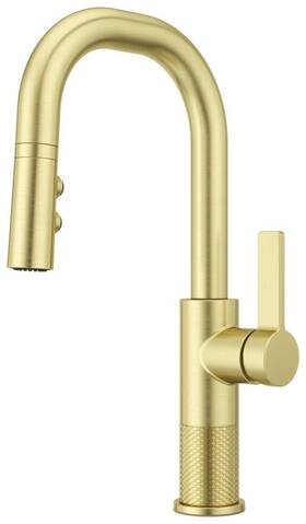 Gt572-mtbg Pfister Kitchen Faucets And Accessories Brushed Gold