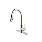 Rf422003 Runfine Sprayer Standard Kitchen Faucet 701948786246