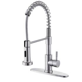 Ricinun 077025771147 Kitchen Faucet With Pull Down Sprayer Brushed Nickel Stainless Steel