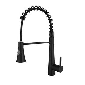 Tahanbath 744759247841 15.2 In 360 Spout Swivel Black Kitchen Faucet With Pull Out Sprayer Single Han