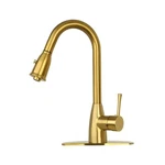 Akicon One-handle Brushed Gold Pull Down Kitchen Faucet With Deck Plate 5 Y.... Fixed Price $406.00.