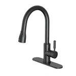 Garrick Single-handle Kitchen Faucet With Pull Down Sprayer Matte Black D004O. Fixed Price $48.36.