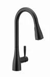 Moen 87260BL Doherty One-handle Pull-down Sprayer Kitchen Faucet In Matte Black. Fixed Price $99.00.