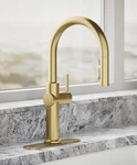Kohler K-22972-2MB Crue Pull-down Kitchen Sink Faucet 3 Function Sprayhead M1. Fixed Price $385.00.