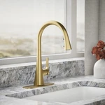 Kohler Guild Pull-down Kitchen Sink Faucet 3-FUNCTION R33912-2MB Gold New. Fixed Price $116.72.
