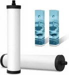 FRC06 2 Pack Ceramic Water Filter Cartridge, Kitchen Sink For Franke Frcns. Fixed Price $59.99.