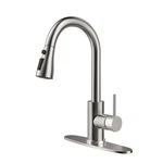 Hange Kitchen Faucet With Pull Down Sprayer,brushed Nickel Sink 1. Fixed Price $43.18.