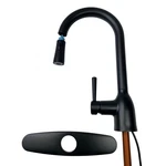 Moen 87233EWBL Adler Touchless Pull-down Sprayer Kitchen Faucet Matte Black. Fixed Price $204.90.