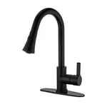 Kingston Brass LS872.CTL Continental 1.8 Gpm Hole Pull Down - Black. Fixed Price $378.93.