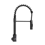 Lippert Components 2021090598 Faucet Coil-spring Pull Down Spout Black Matte. Fixed Price $171.82.
