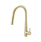 Elegant Lighting FAK-301 Lucas 1.8 Gpm Hole Pull Down Kitchen Gold. Fixed Price $256.00.