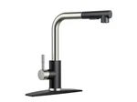 Anza Single Handle Pull Down Sprayer Kitchen Faucet With Deckplate Out. Fixed Price $28.00.