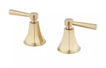 Signature Hardware Elita Lever Handle Trim In Brushed Gold Part #SHEL449003BG. Fixed Price $69.99.