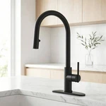 Atking 1-HANDLE Kitchen Faucet Pull Out Sprayer Stainless Steel Matte Black. Fixed Price $39.50.