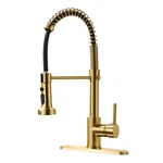 Aimadi Gold Kitchen Faucet With Pull Down. Fixed Price $134.76.